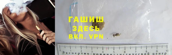 прущие грибы Абинск