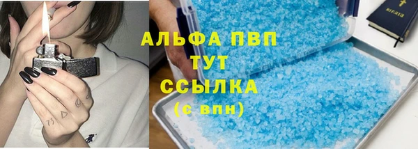 прущие грибы Абинск