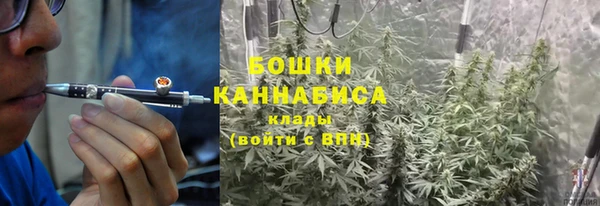 гидра Рославль
